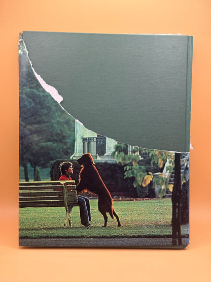 Southland in Colour by Arnold S. Miller