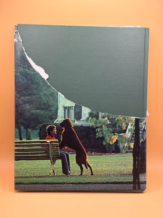 Southland in Colour by Arnold S. Miller