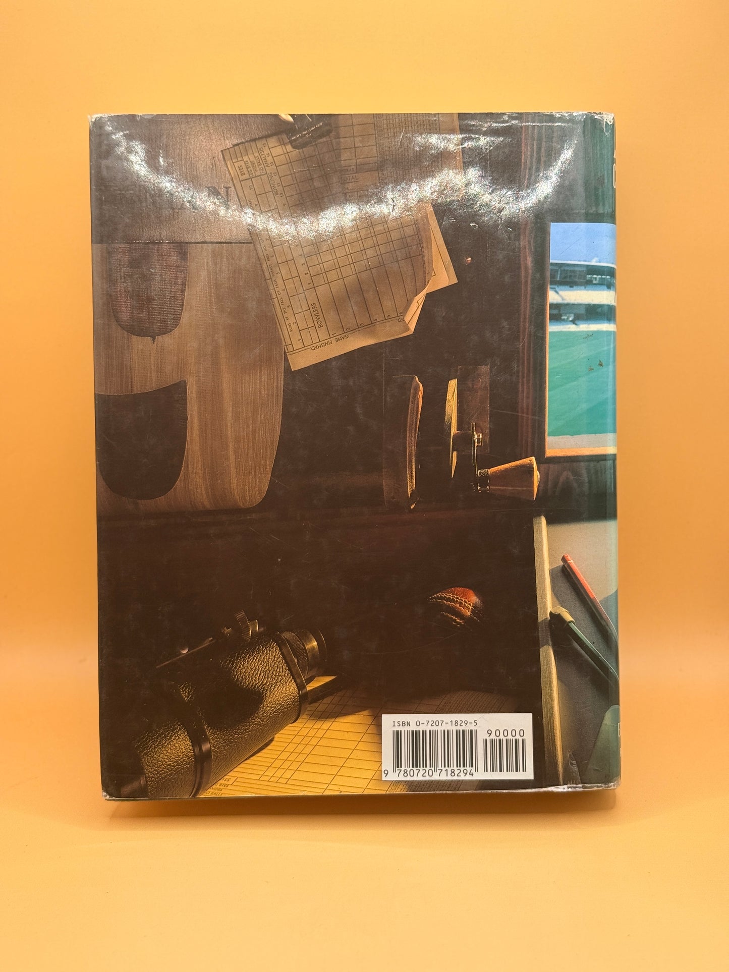 Benson & Hedges Cricket Year 1988 by David Lemmon