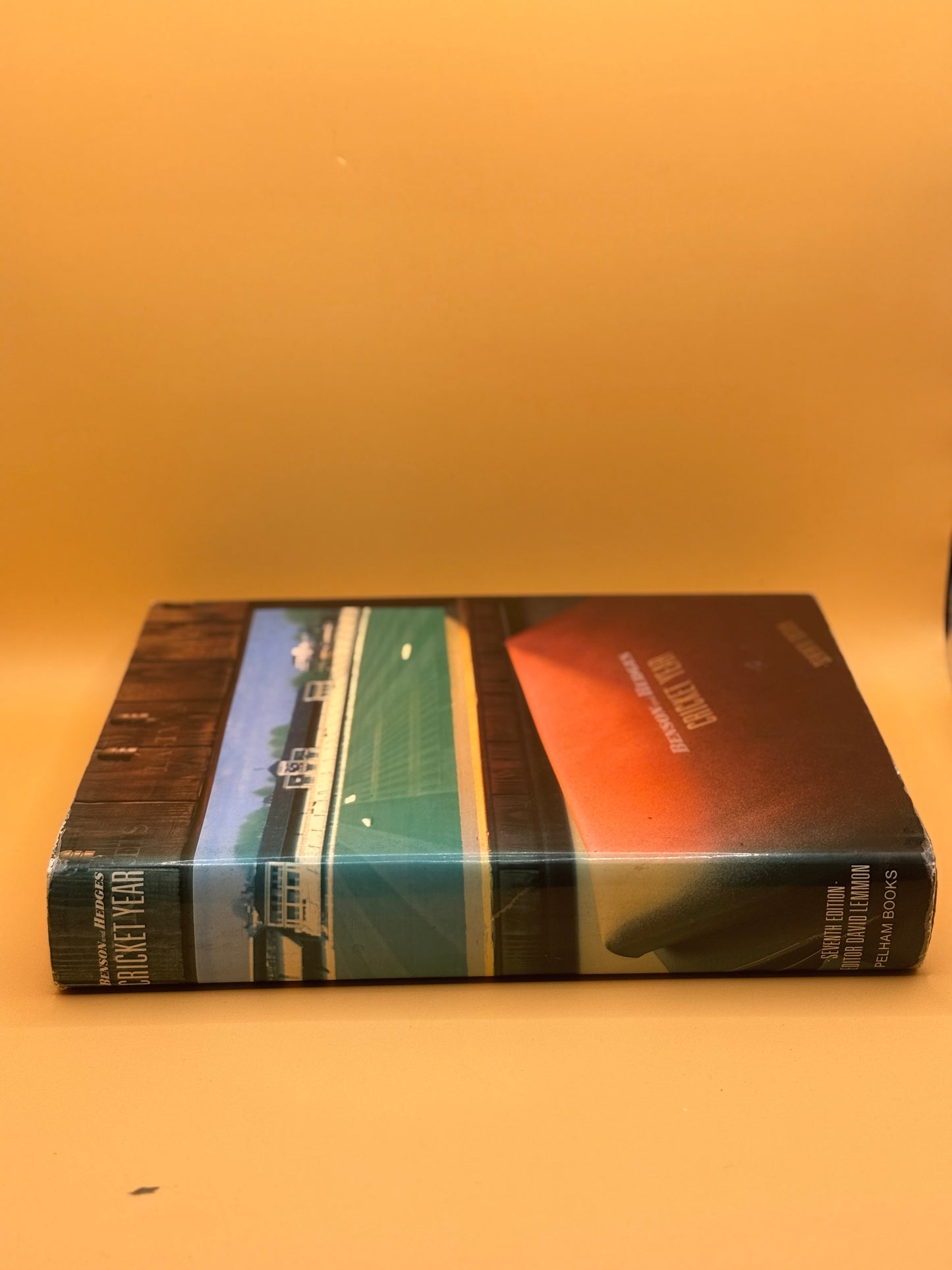 Benson & Hedges Cricket Year 1988 by David Lemmon