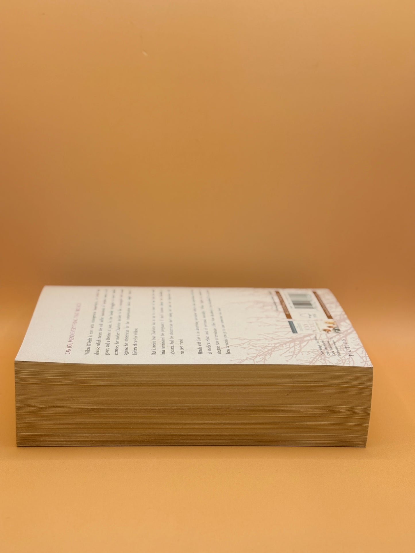 Handle with Care by Jodi Picoult