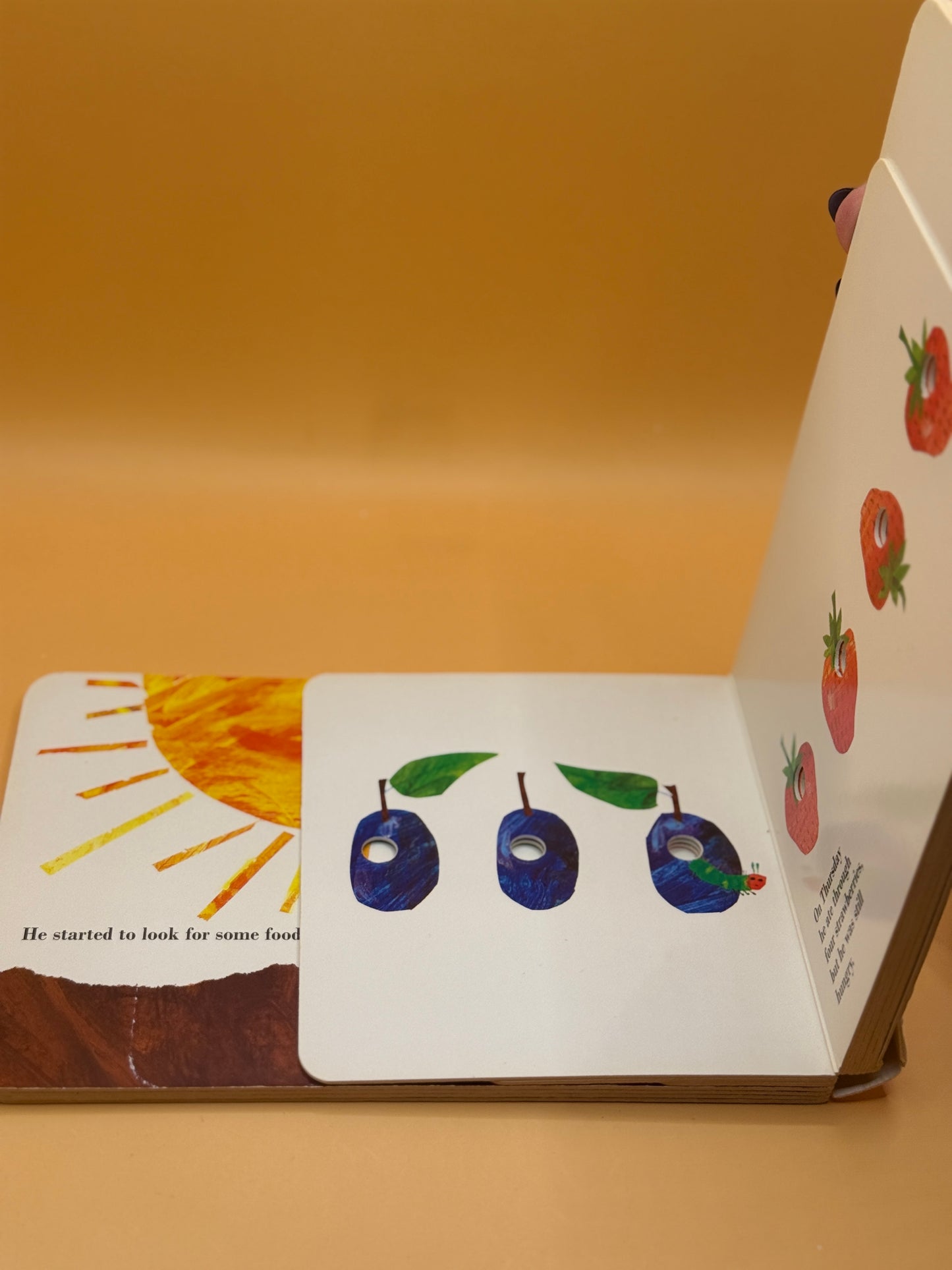 The Very Hungry Caterpillar by Eric Carle