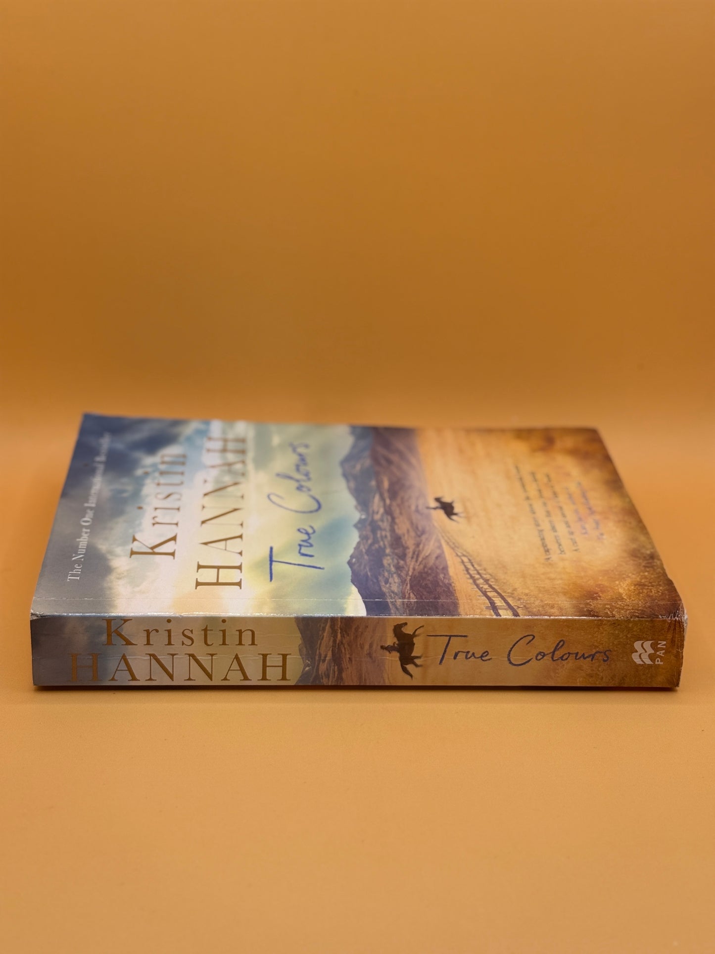 True Colors by Kristin Hannah