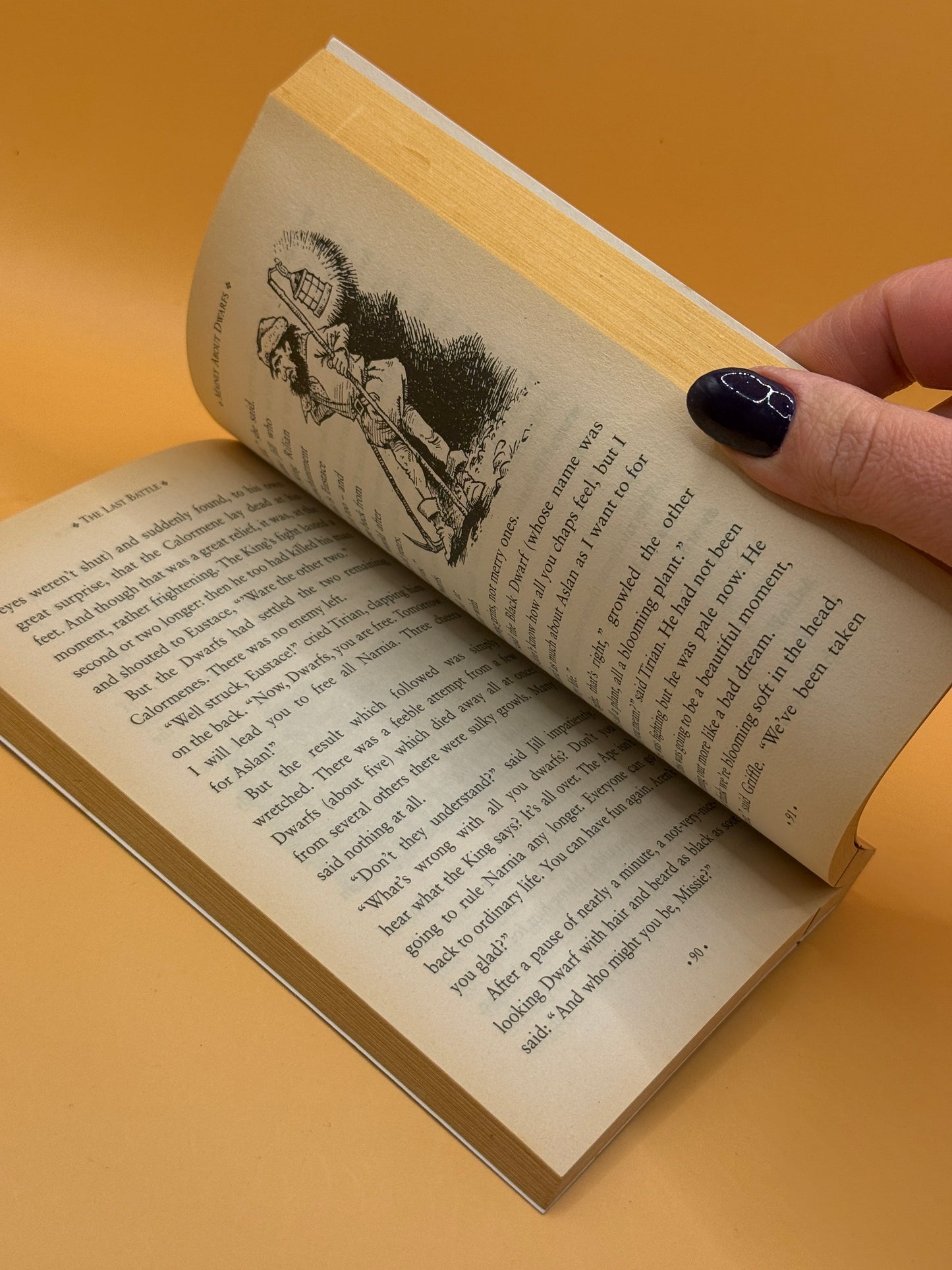 The Last Battle by C. S. Lewis