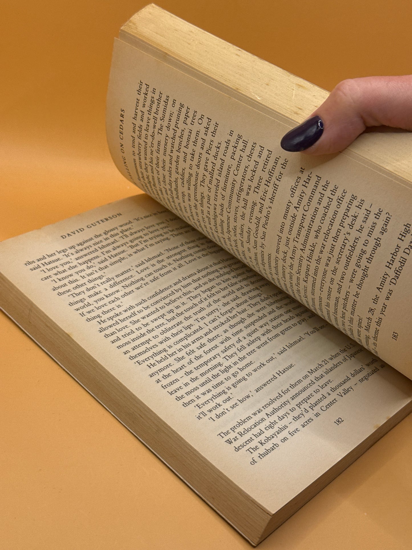 Snow Falling on Cedars by David Guterson