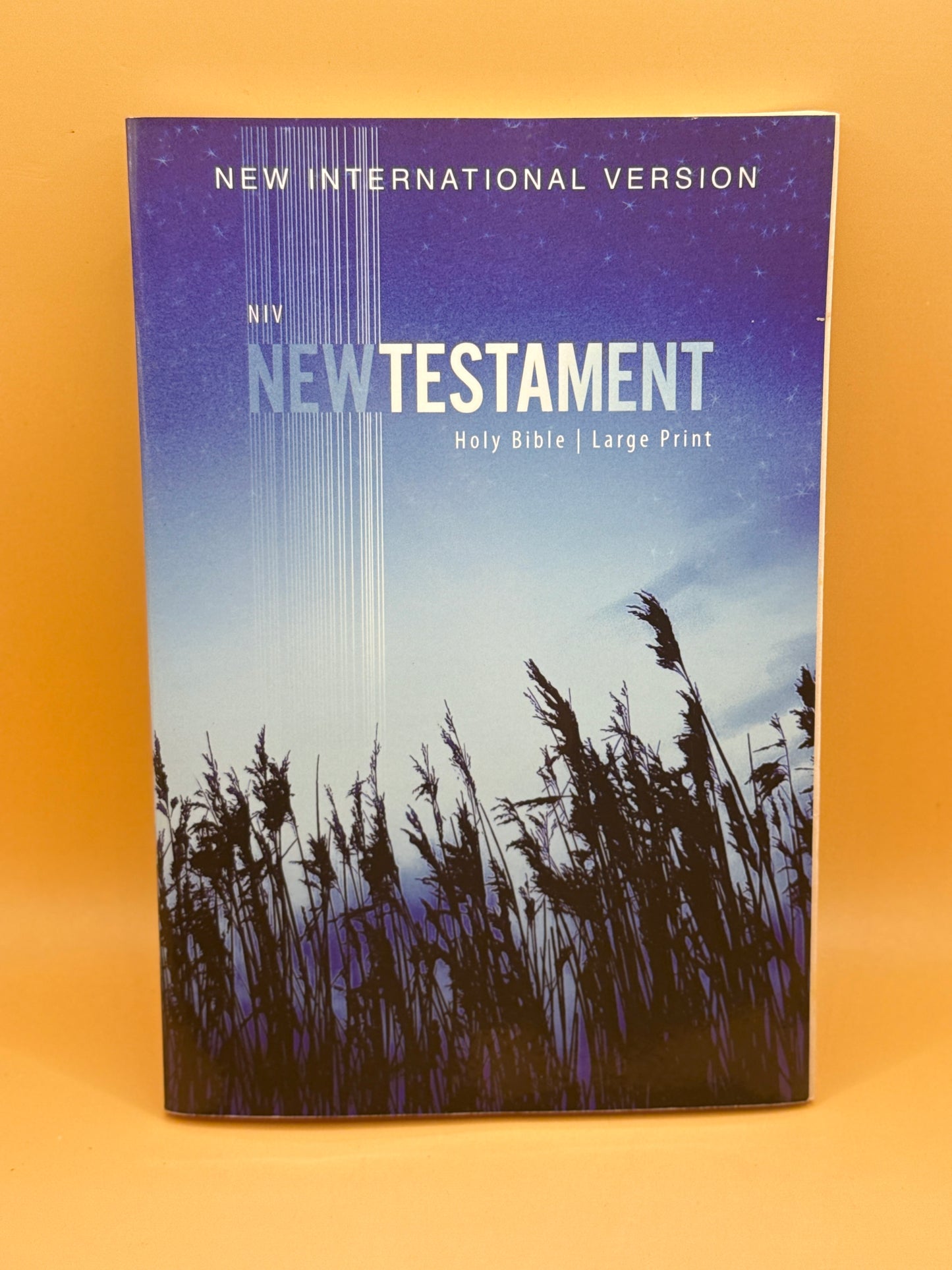 New International Version New Testament: Holy Bible Large Print by Anonymous