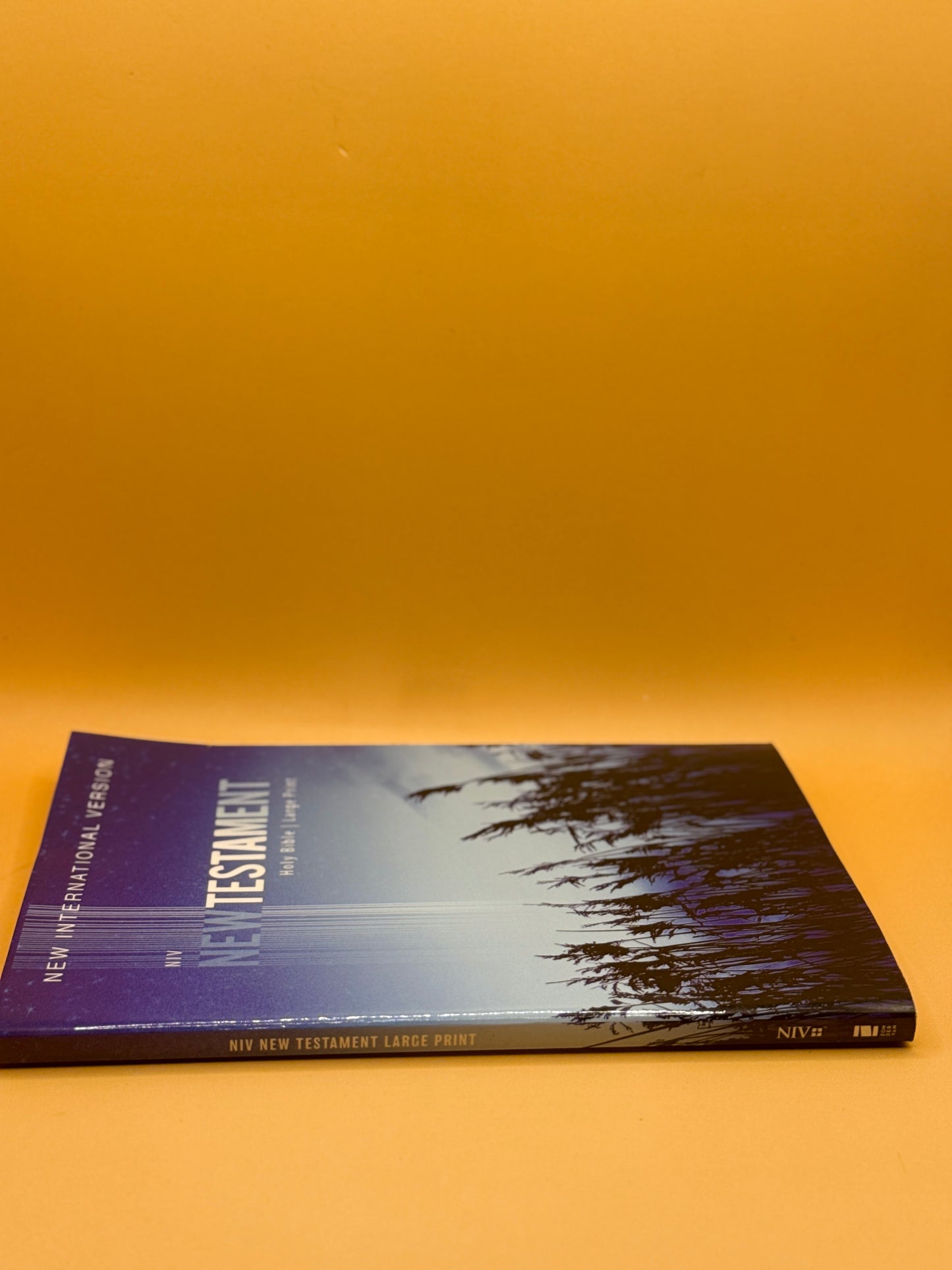 New International Version New Testament: Holy Bible Large Print by Anonymous