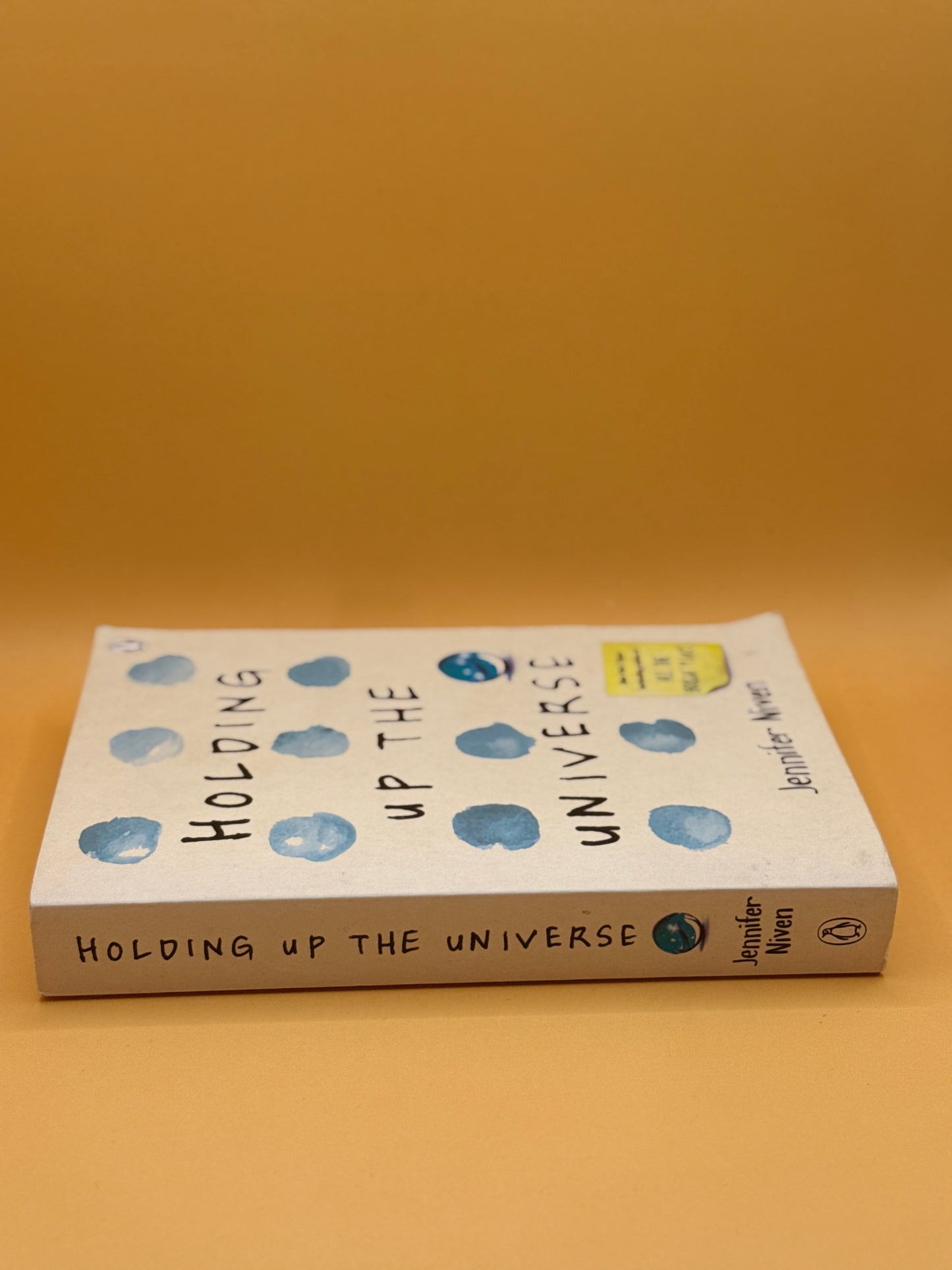 Holding Up the Universe by Jennifer Niven