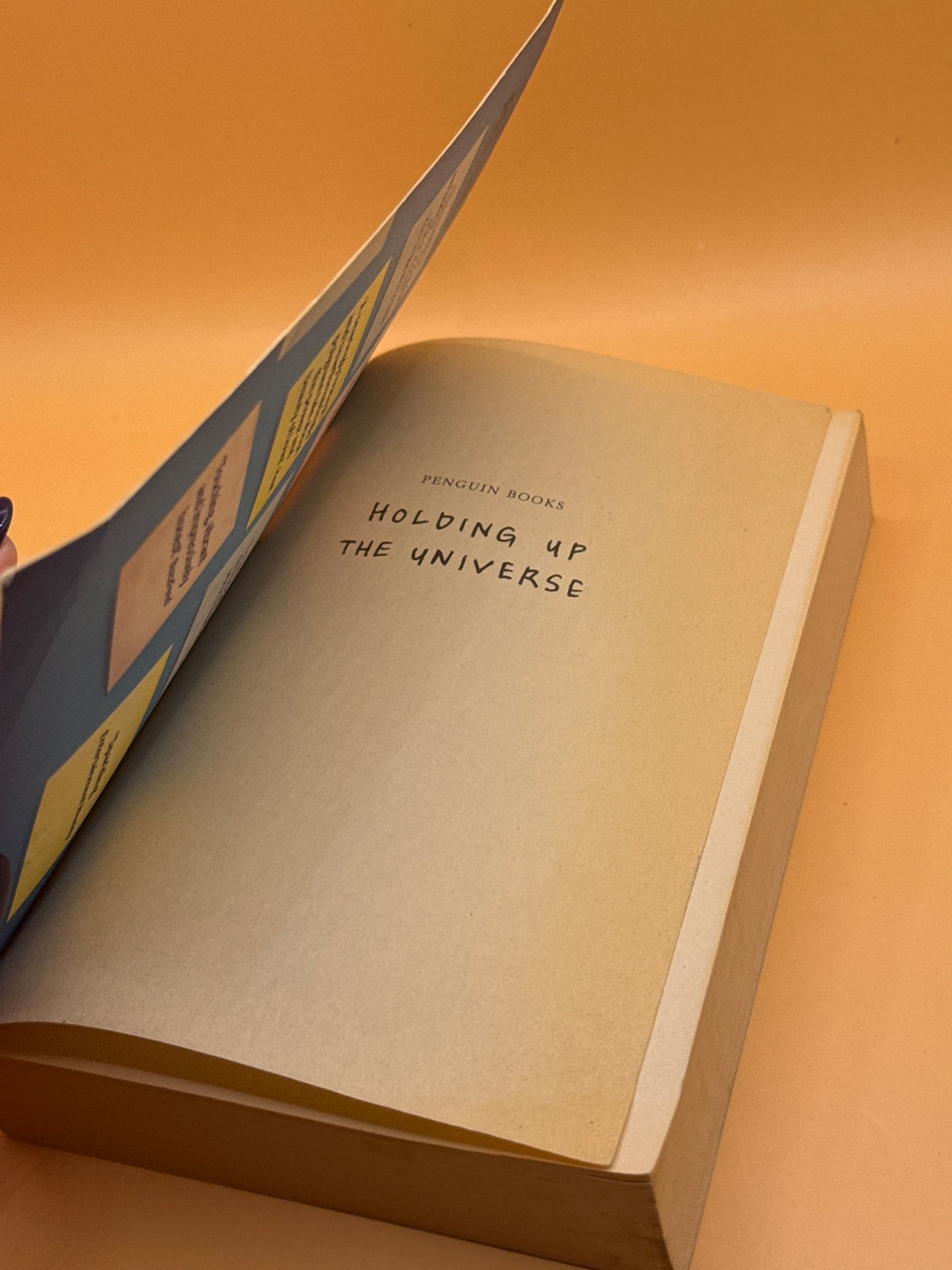 Holding Up the Universe by Jennifer Niven