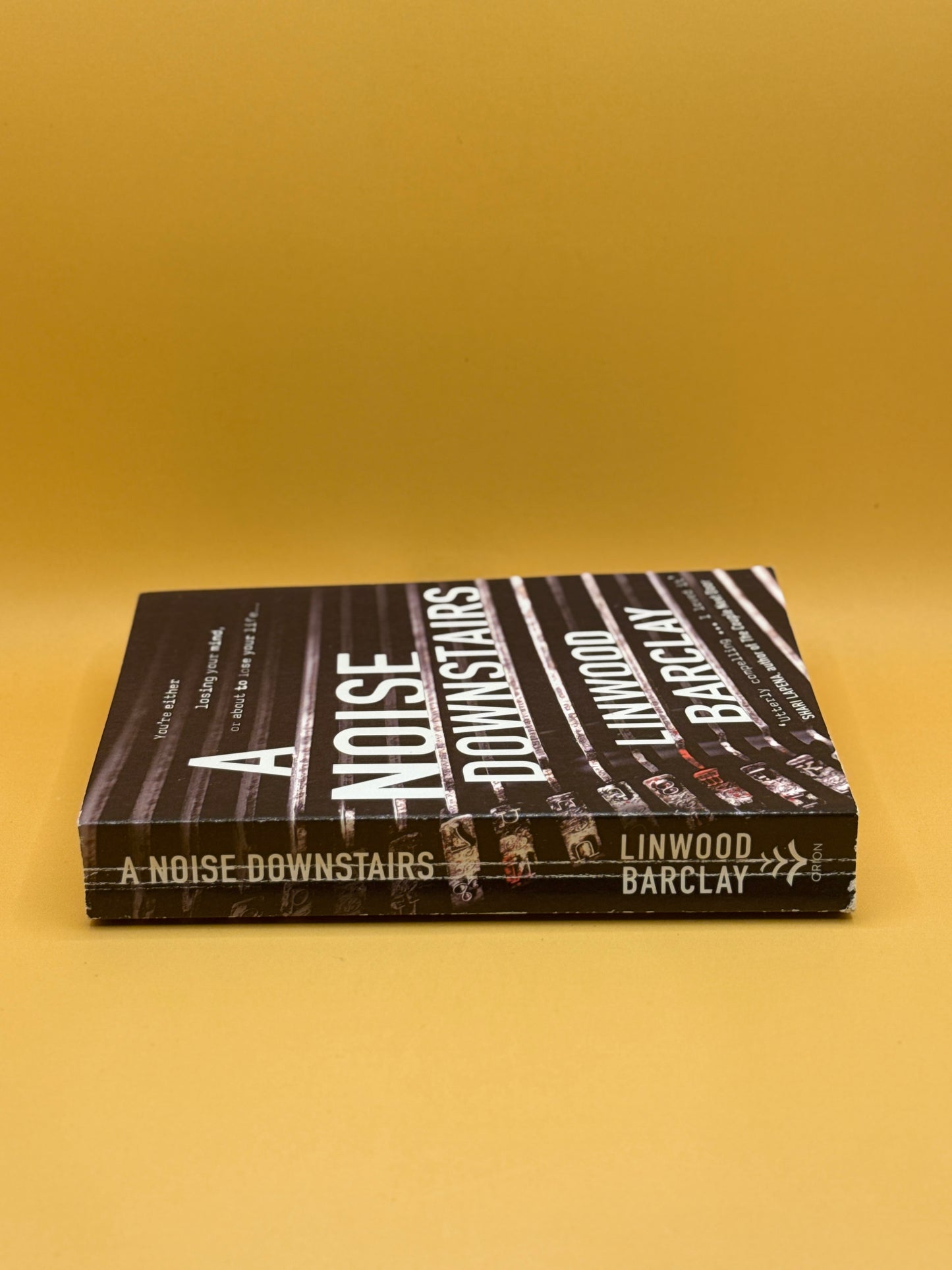 A Noise Downstairs by Linwood Barclay