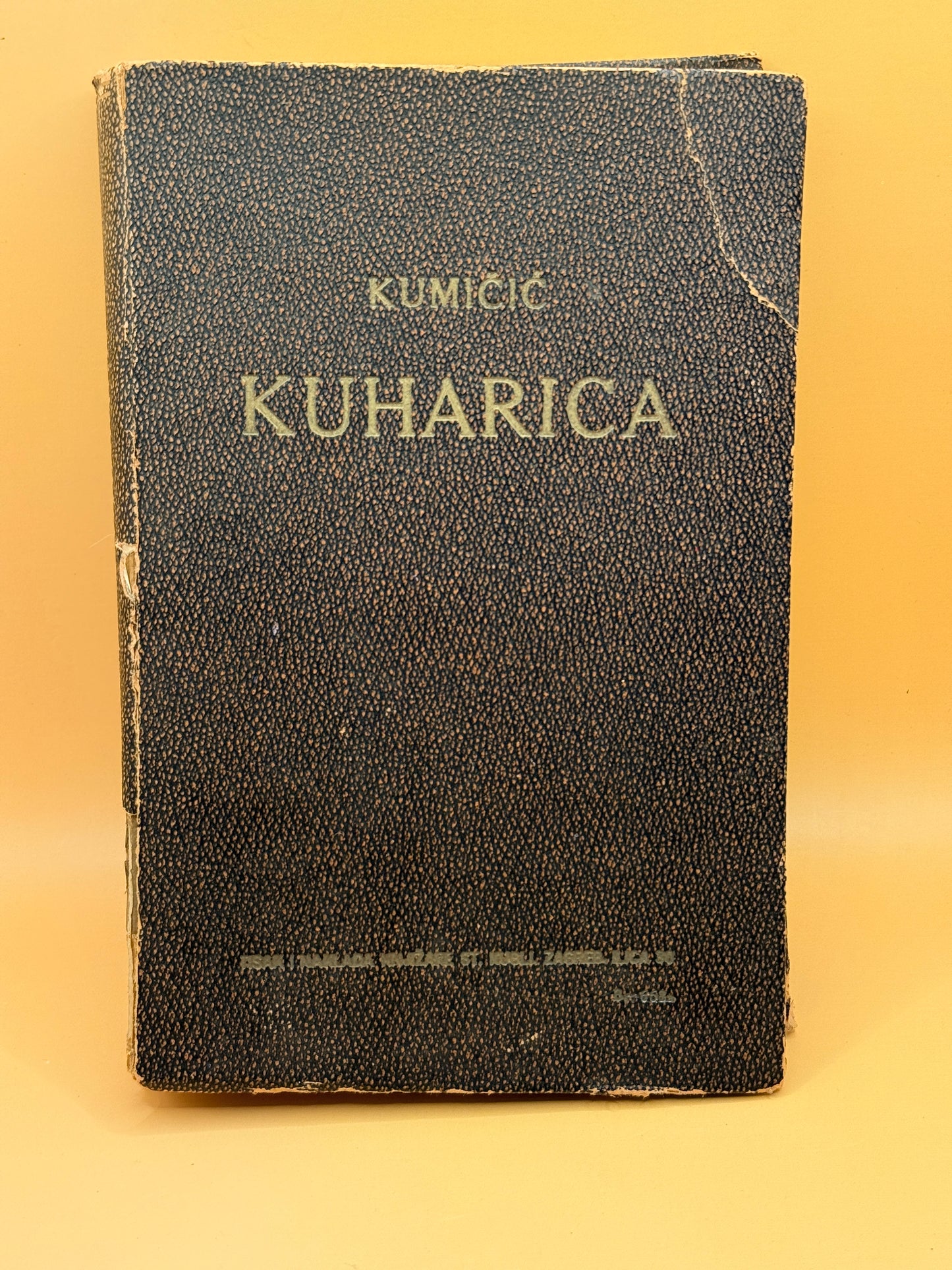 Kuharica by Marija Kumičić - Croatian Language