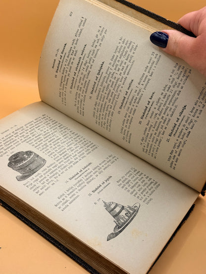 Kuharica by Marija Kumičić - Croatian Language