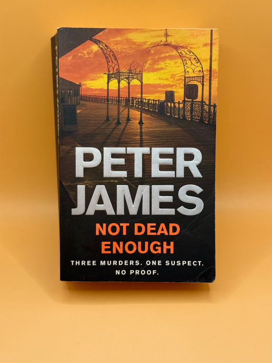 Not Dead Enough by Peter James