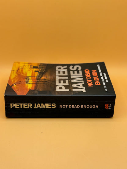 Not Dead Enough by Peter James