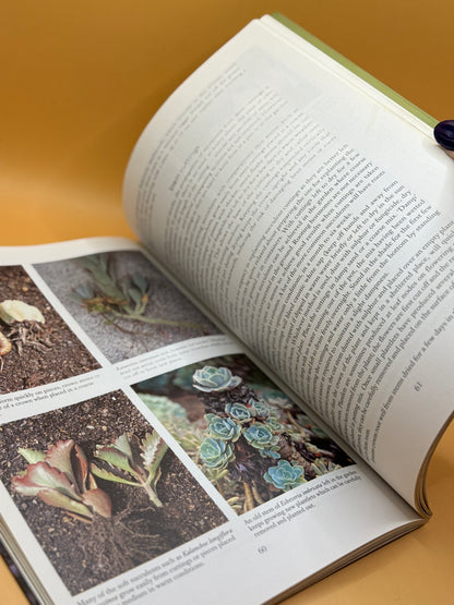 The Succulent Garden: A Practical Gardening Guide by Yvonne Cave