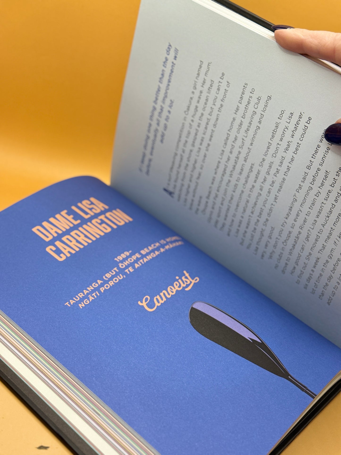 Good Sports by Stuart Lipshaw
