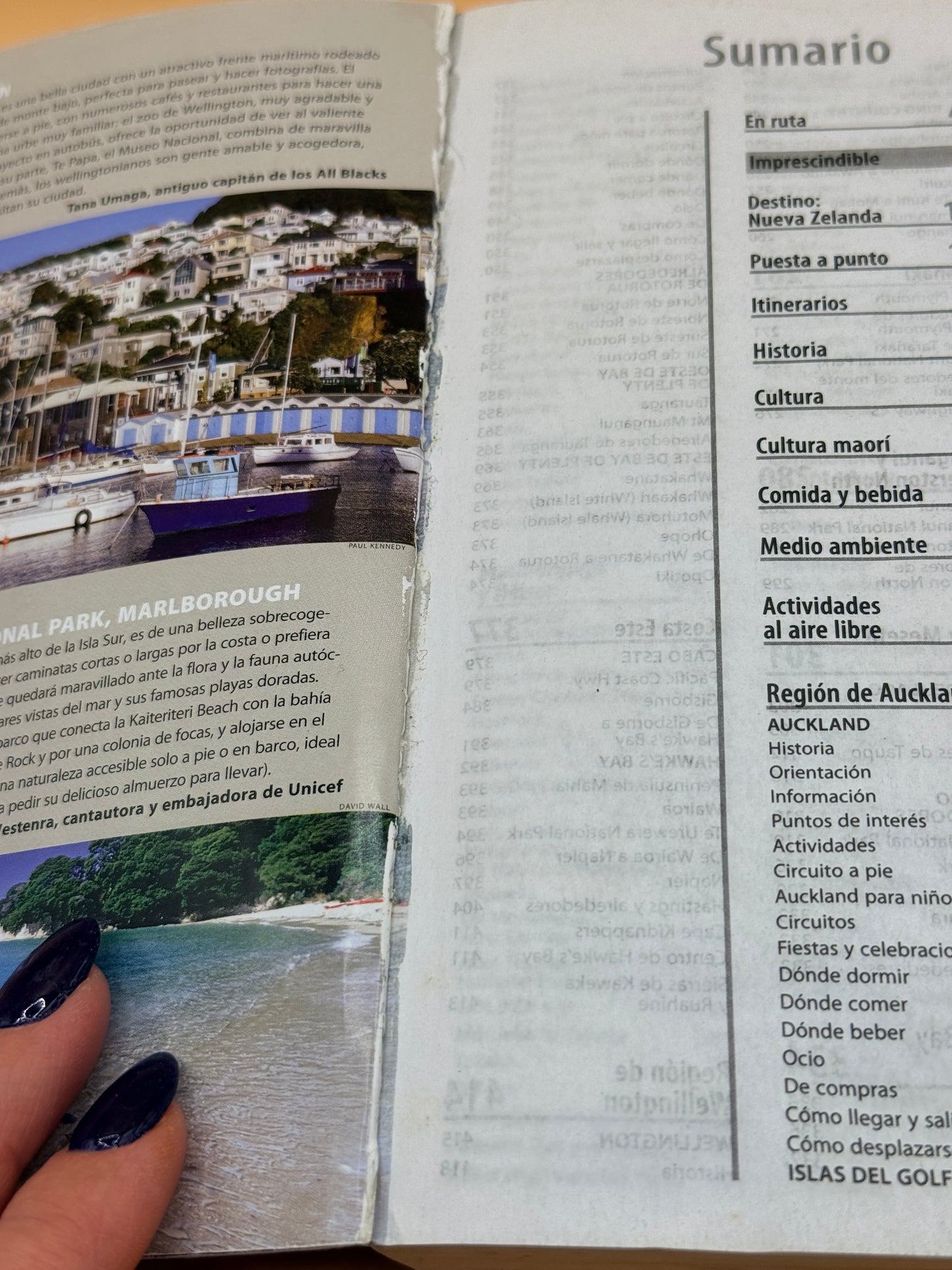 Nueva Zelanda by Lonely Planet (Spanish)