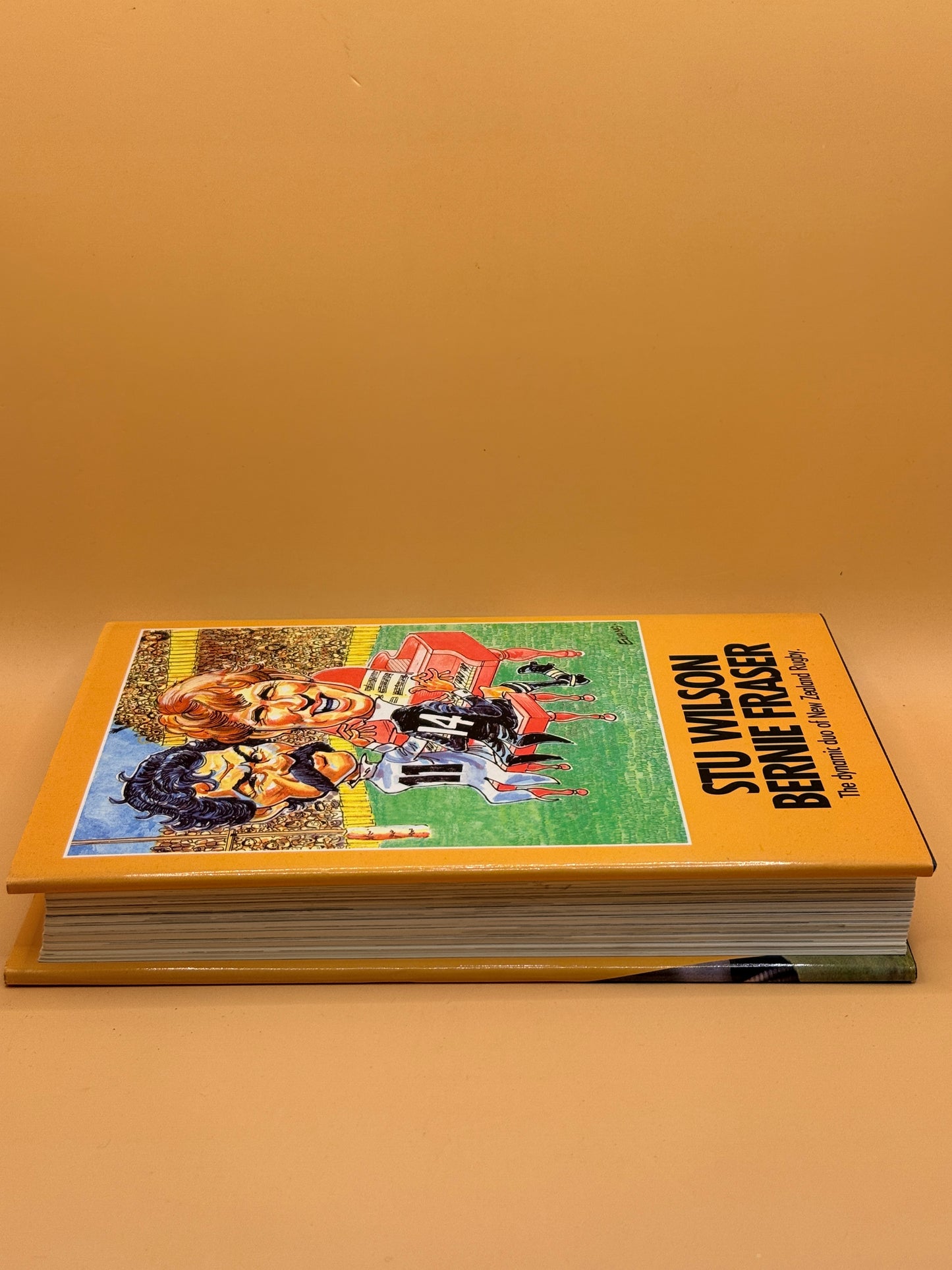 Ebony & Ivory: The Stu Wilson, Bernie Fraser Story by Alex Veysey *SIGNED BY STU & BERNIE*