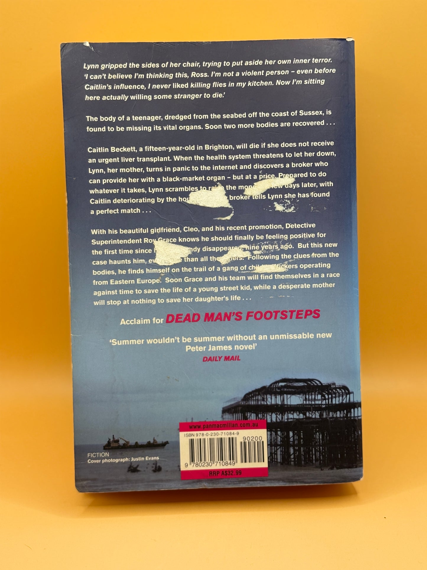 Dead Tomorrow by Peter James