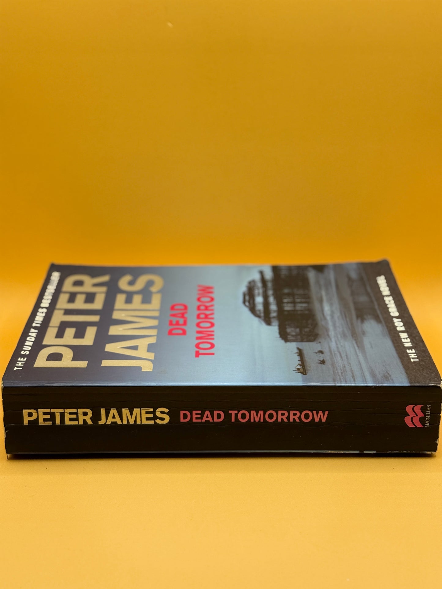Dead Tomorrow by Peter James