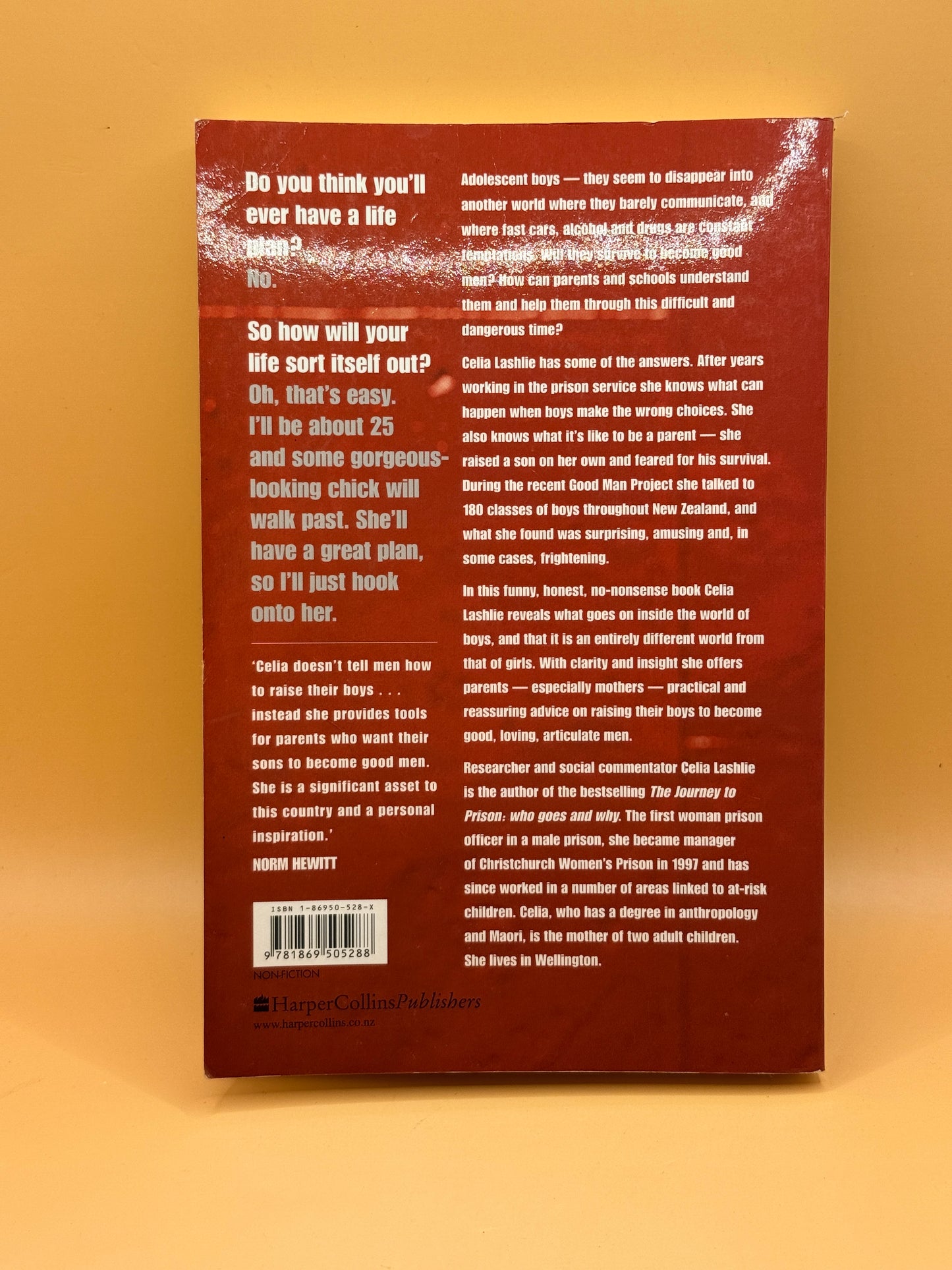 He'll Be OK: Growing Gorgeous Boys into Good Men by Celia Lashlie