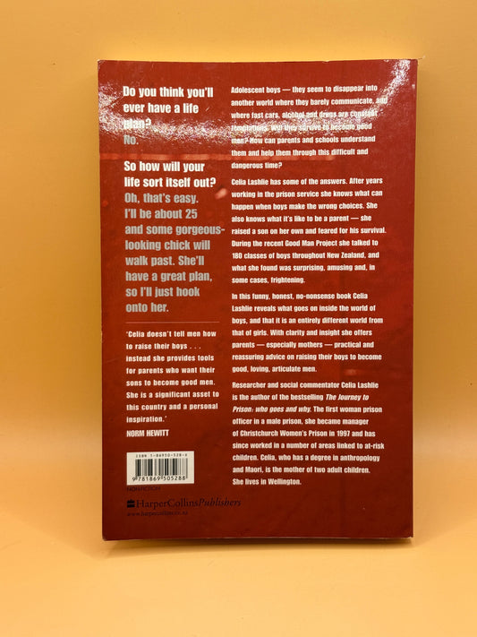 He'll Be OK: Growing Gorgeous Boys into Good Men by Celia Lashlie