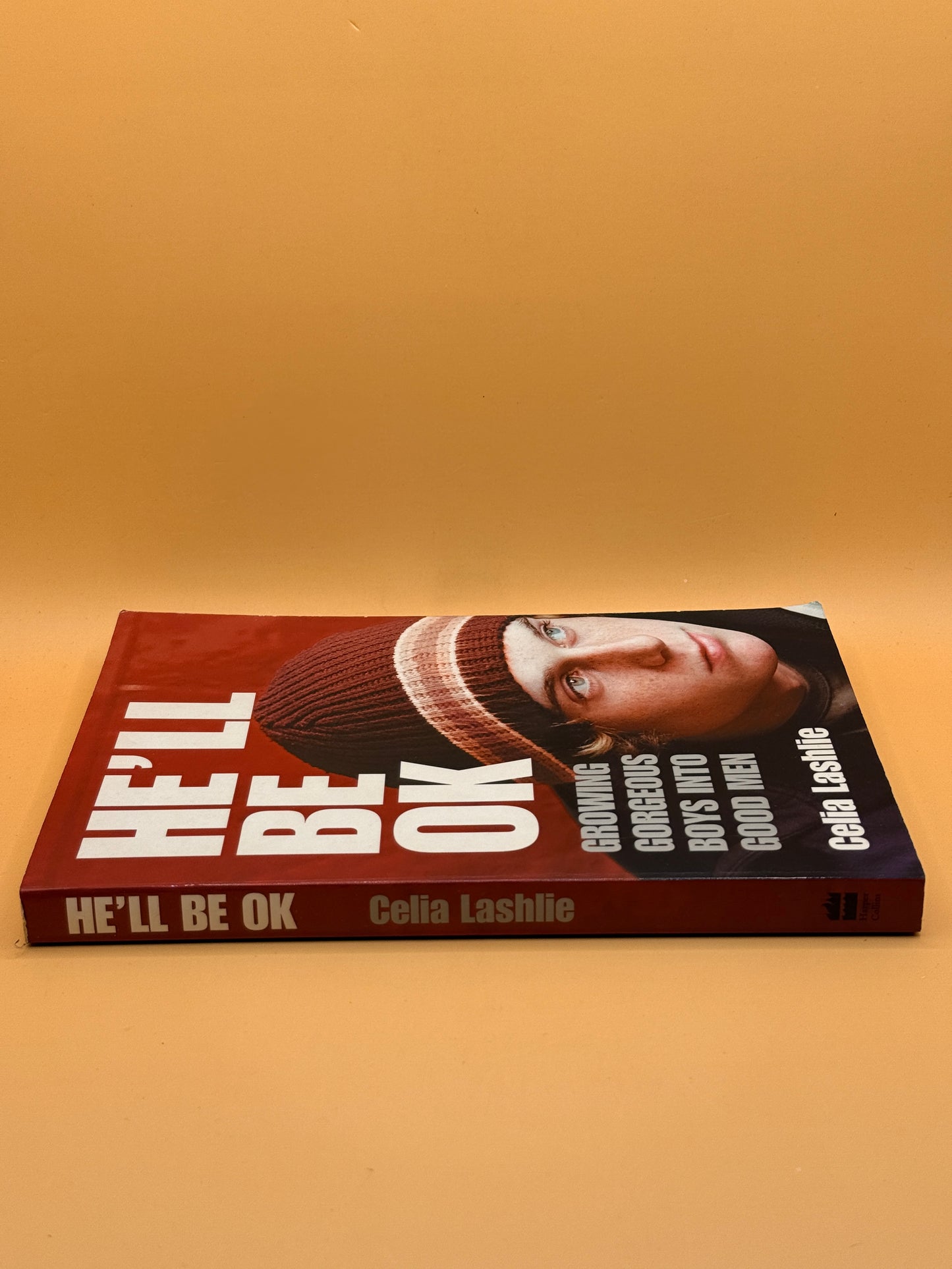 He'll Be OK: Growing Gorgeous Boys into Good Men by Celia Lashlie