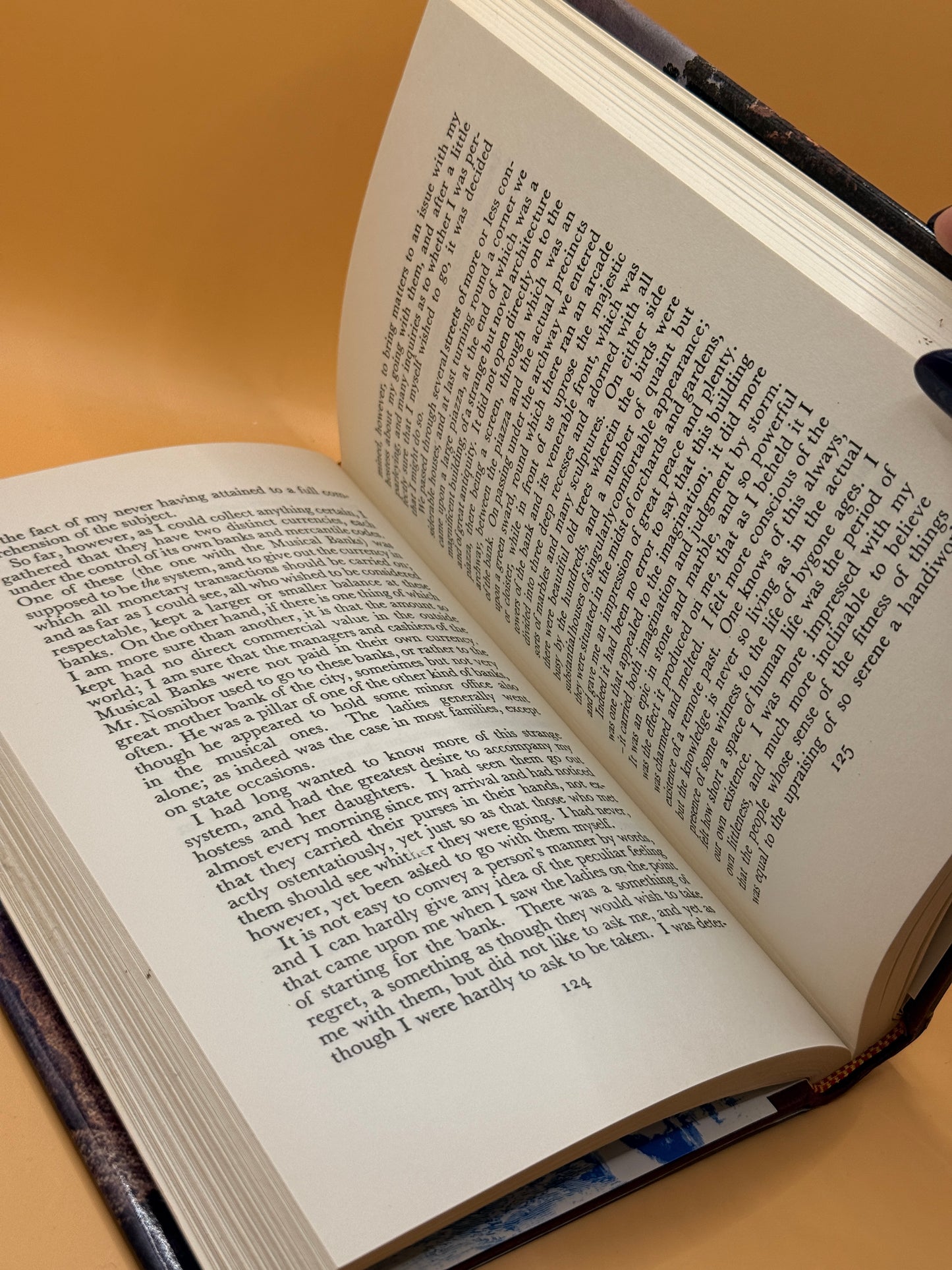 Erewhon or Over the Range by Samuel Butler
