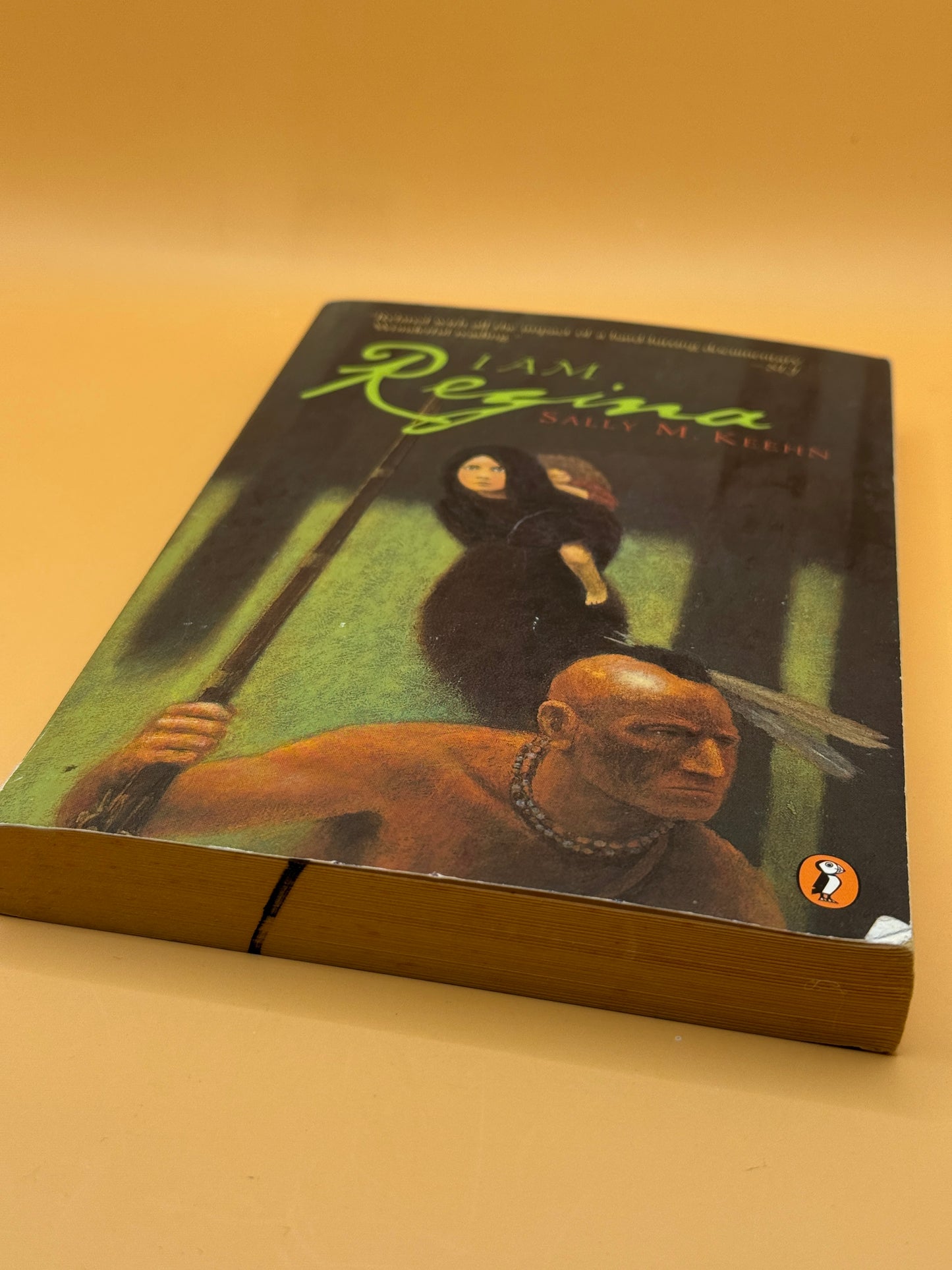 I Am Regina by Sally M. Keehn