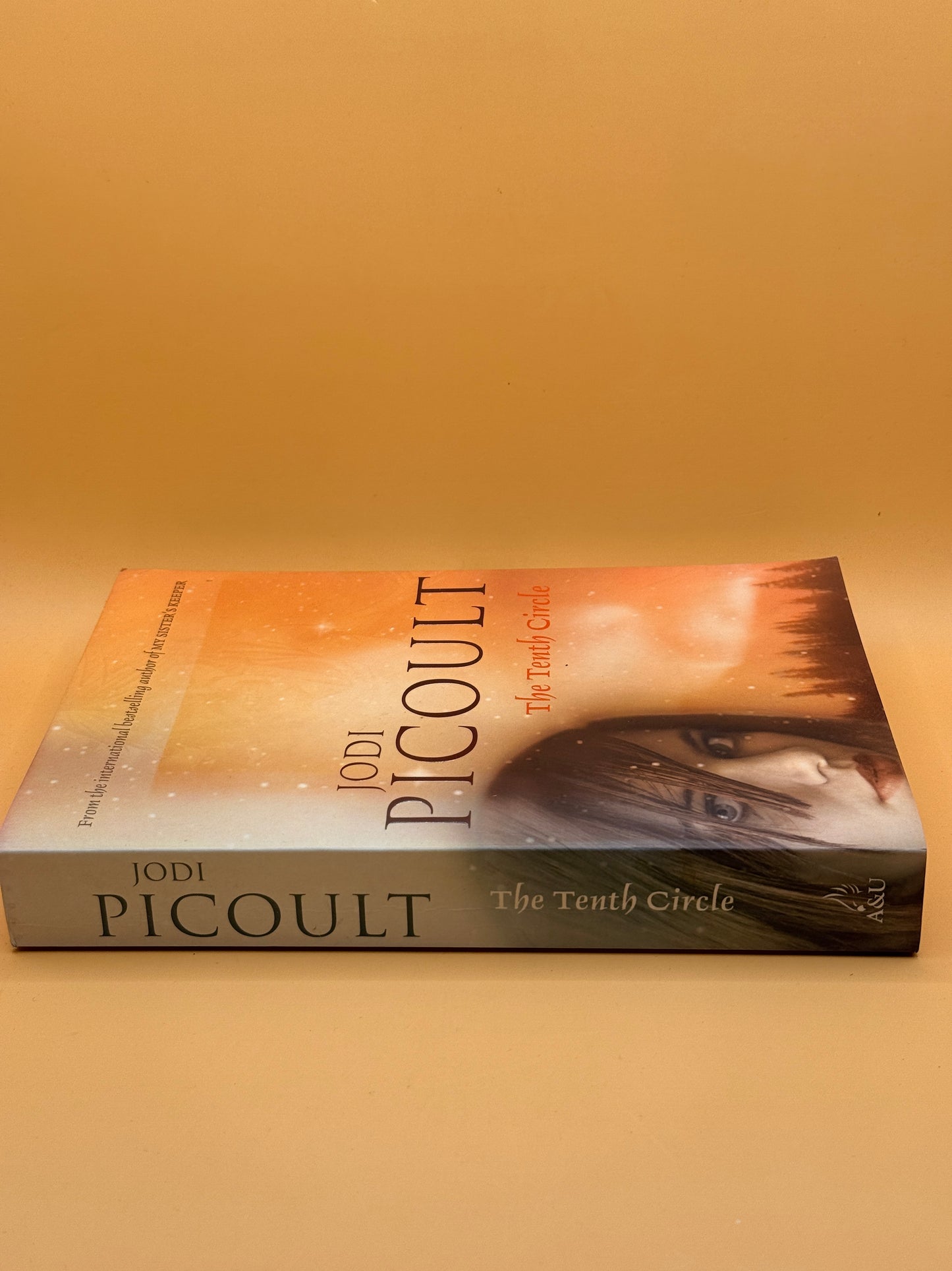 The Tenth Circle by Jodi Picoult