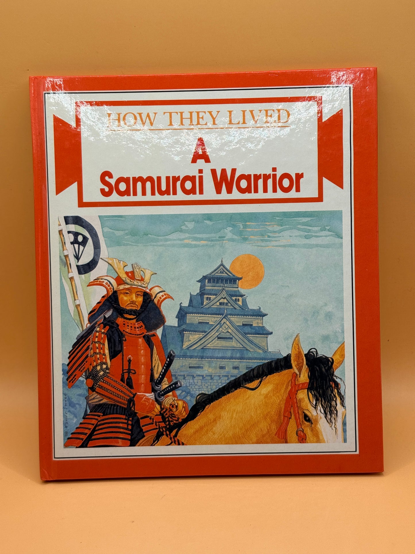A Samurai Warrior by Anne Steel