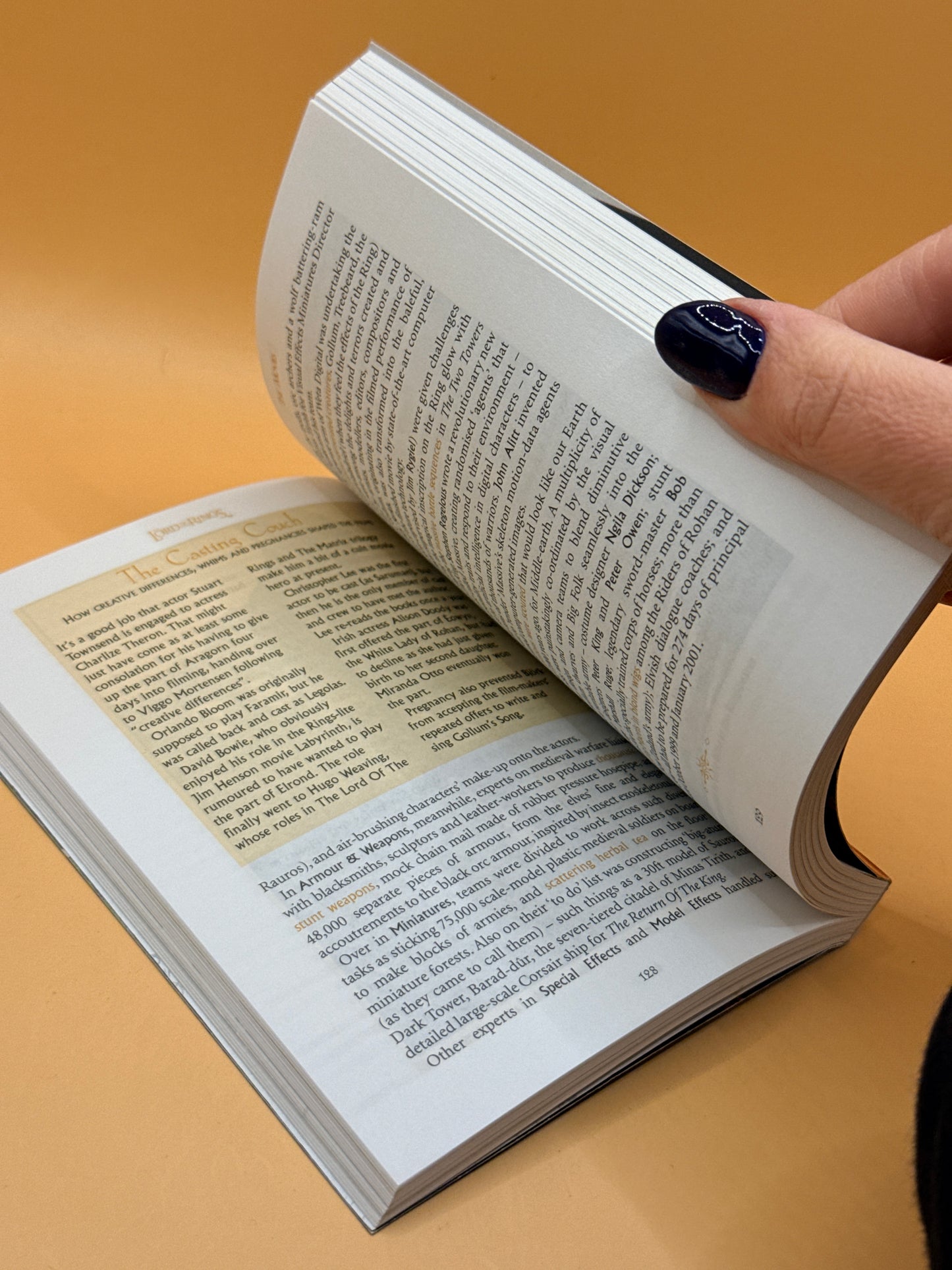The Rough Guide to The Lord of the Rings by Paul Simpson