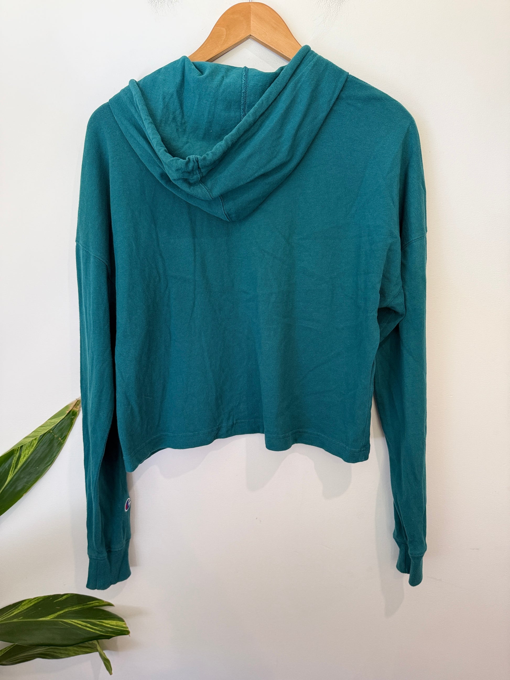 Champion Cropped Hoodie Size XS