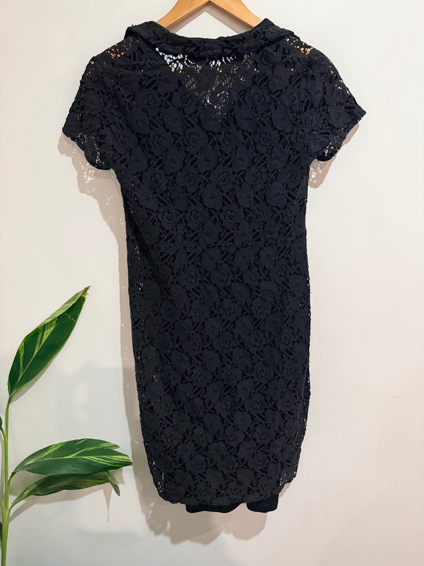 Shanton Collared Lace Shirt Dress Black Size 8
