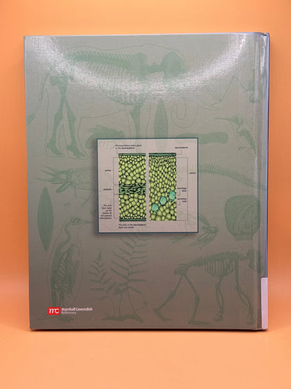 Animal and Plant Anatomy by Marshall Cavendish Corporation