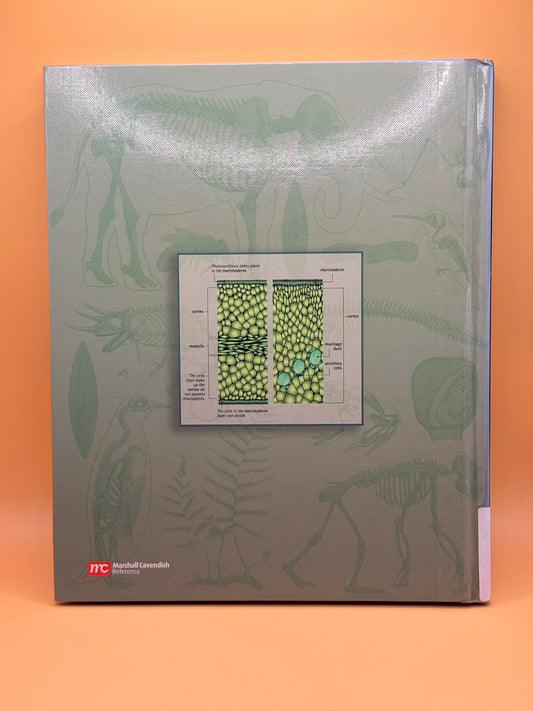 Animal and Plant Anatomy by Marshall Cavendish Corporation