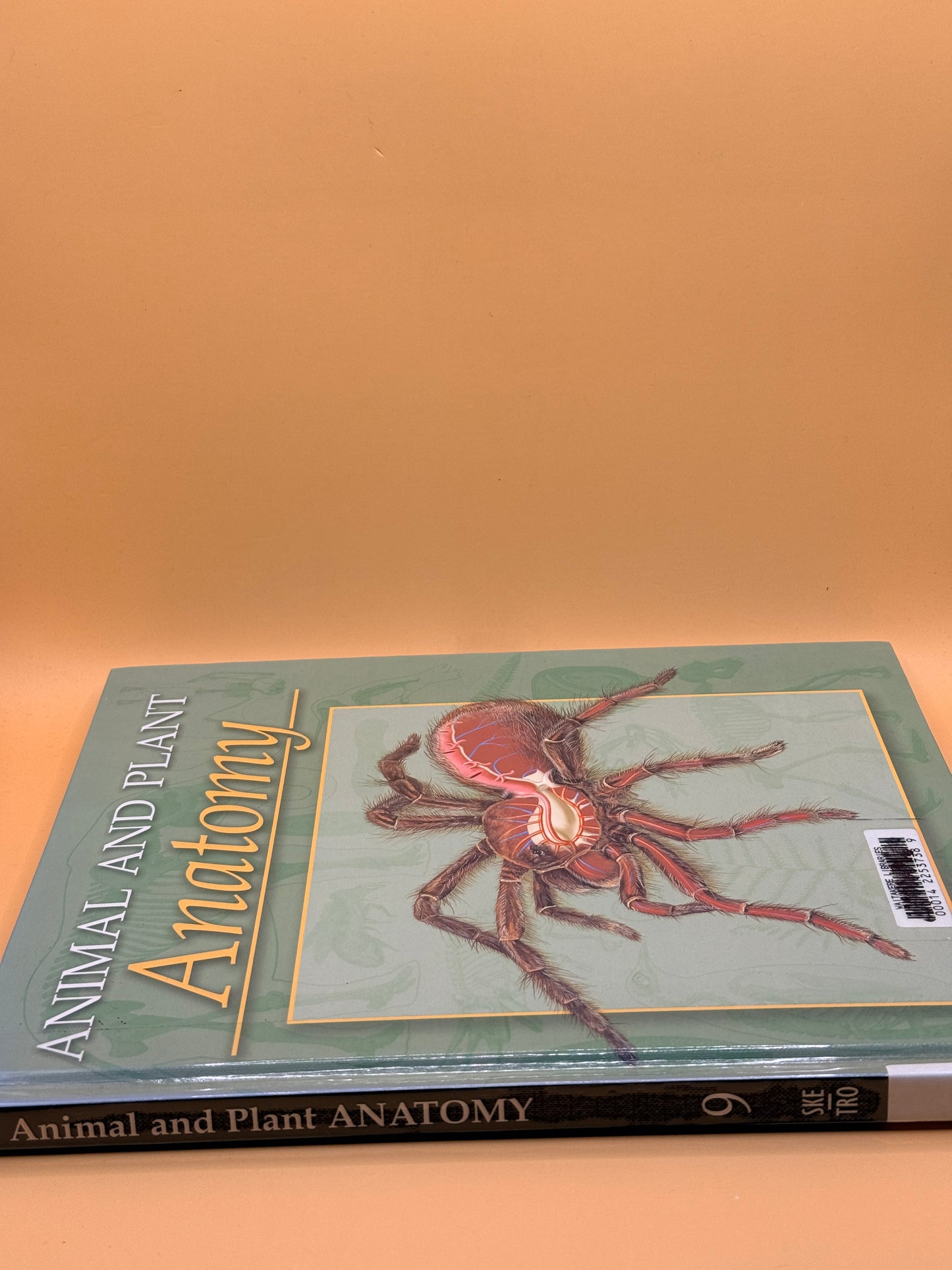 Animal and Plant Anatomy by Marshall Cavendish Corporation
