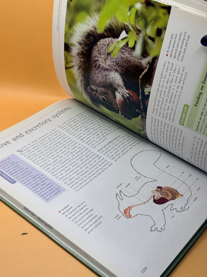 Animal and Plant Anatomy by Marshall Cavendish Corporation
