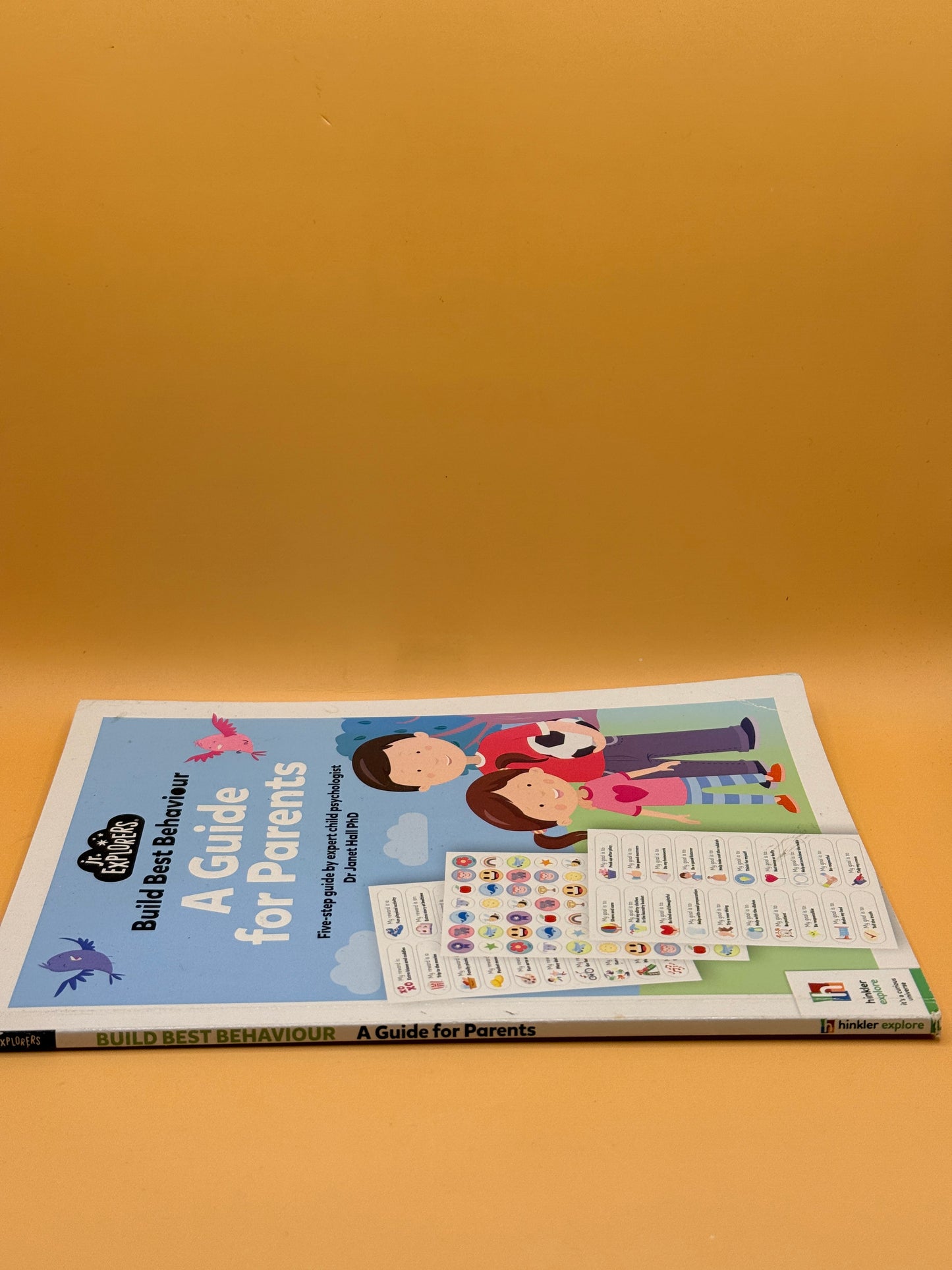 Build Best Behaviour: A Guide for Parents by Dr Janet Hall