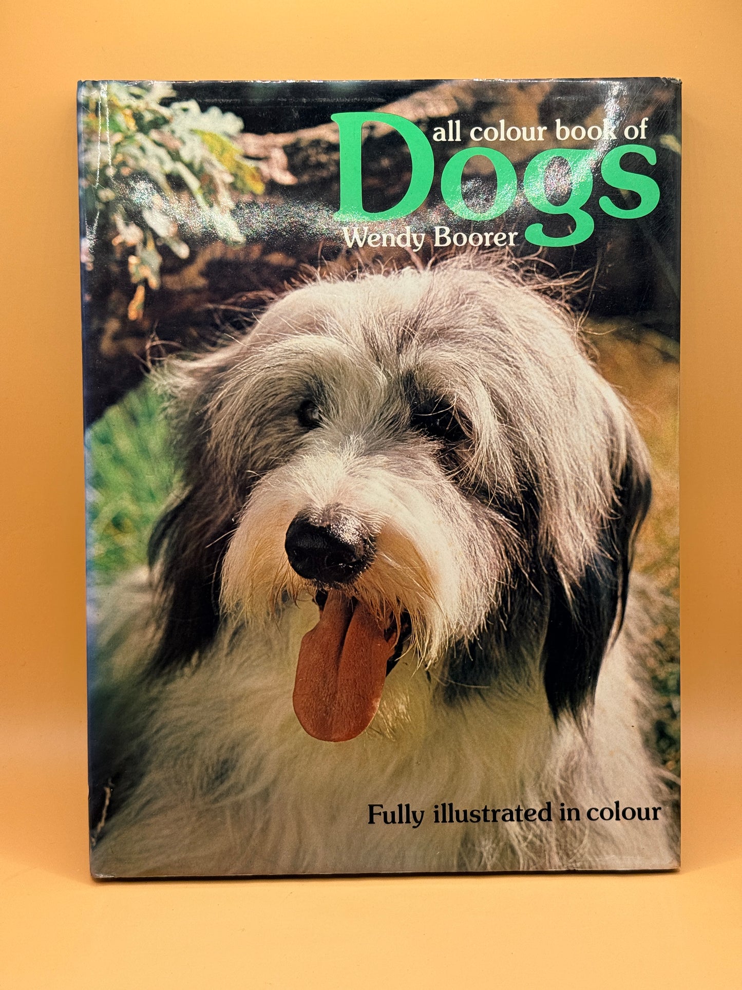 All Colour Book of Dogs by Wendy Boorer