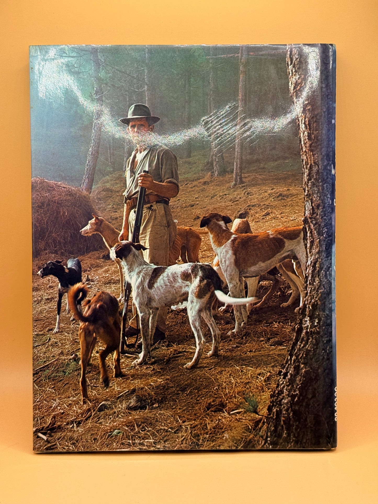 All Colour Book of Dogs by Wendy Boorer