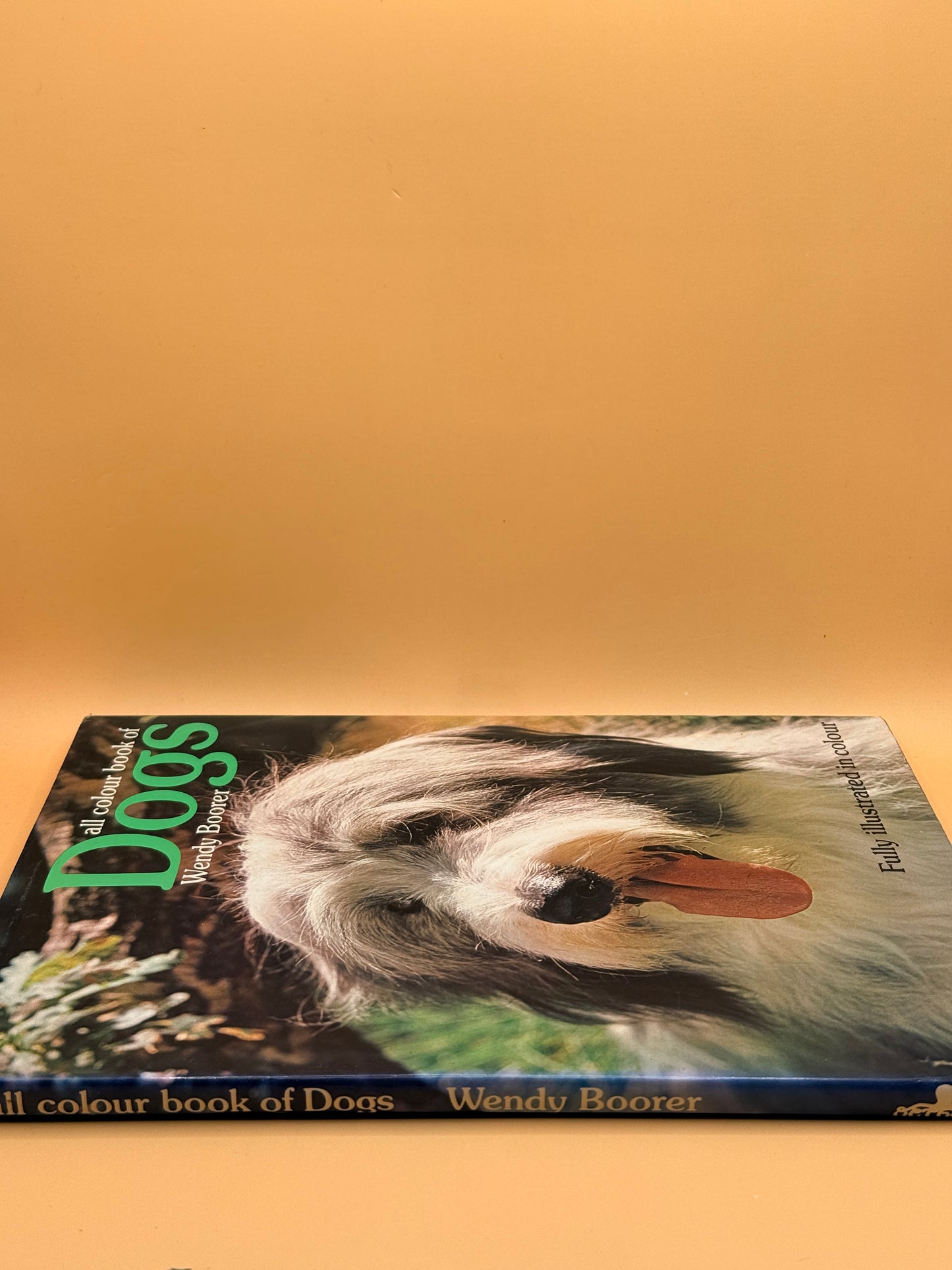 All Colour Book of Dogs by Wendy Boorer