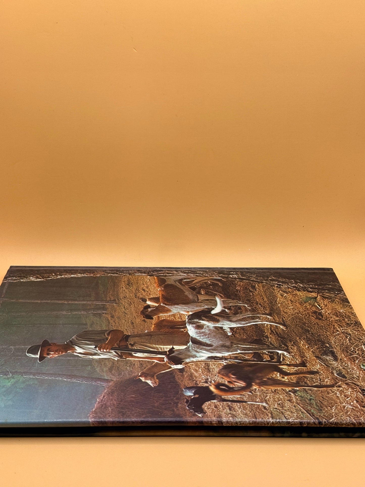 All Colour Book of Dogs by Wendy Boorer