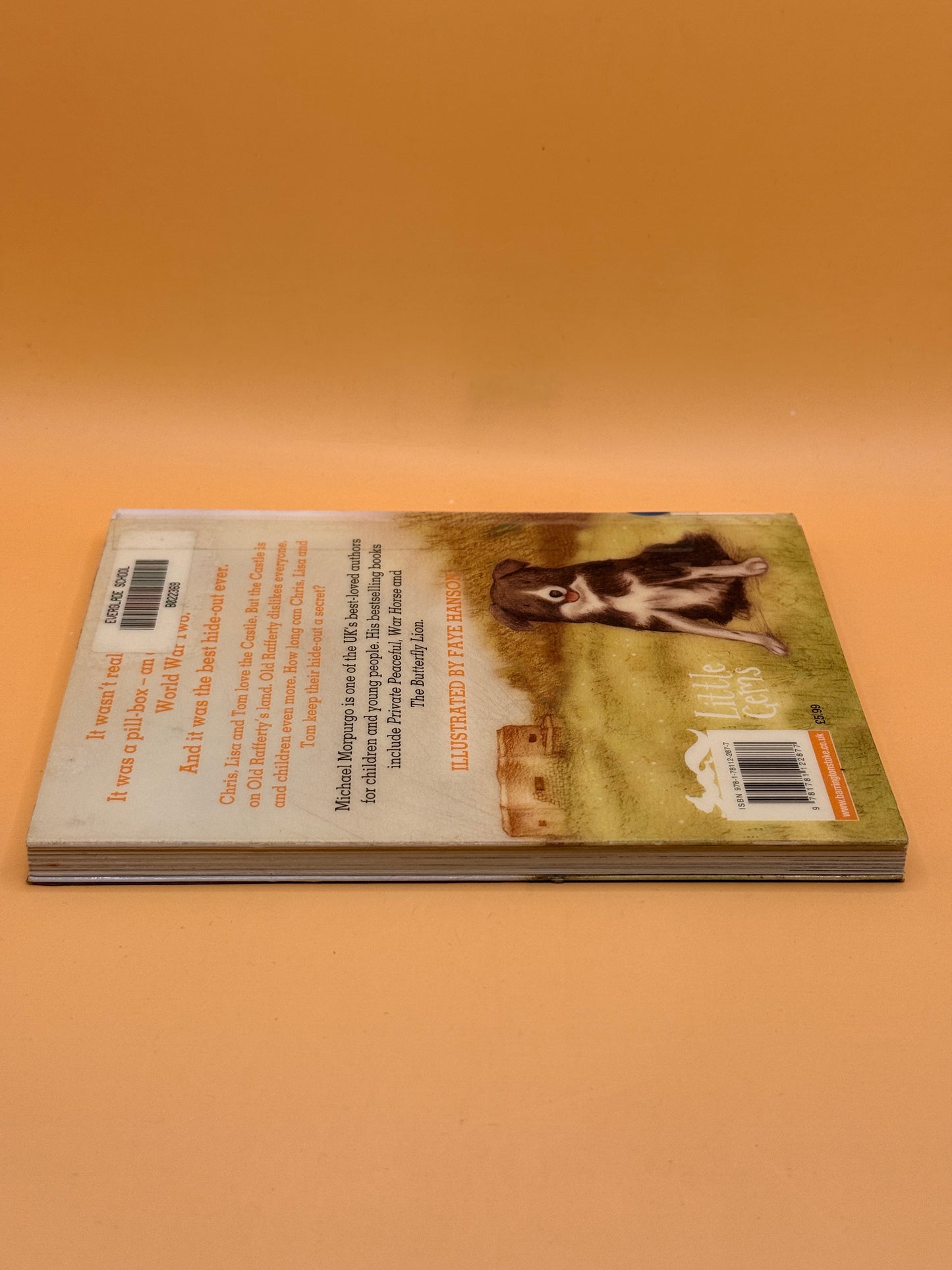 The Castle in the Field by Michael Morpurgo