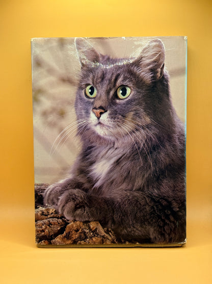 Beautiful Cats & Kittens by John Gilbert