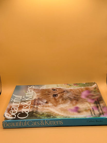 Beautiful Cats & Kittens by John Gilbert
