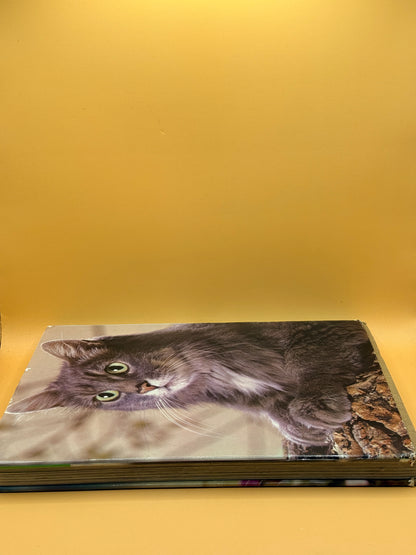 Beautiful Cats & Kittens by John Gilbert