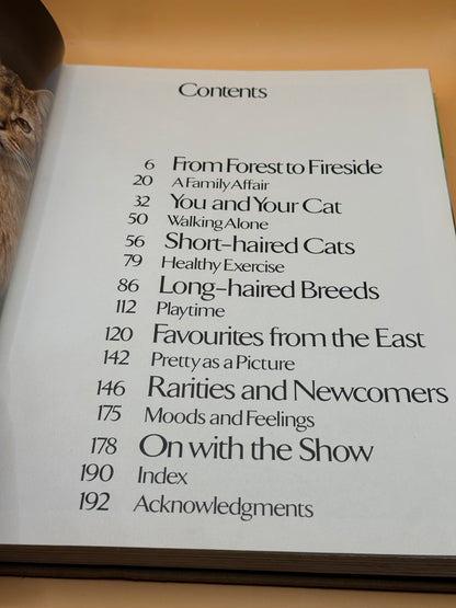 Beautiful Cats & Kittens by John Gilbert