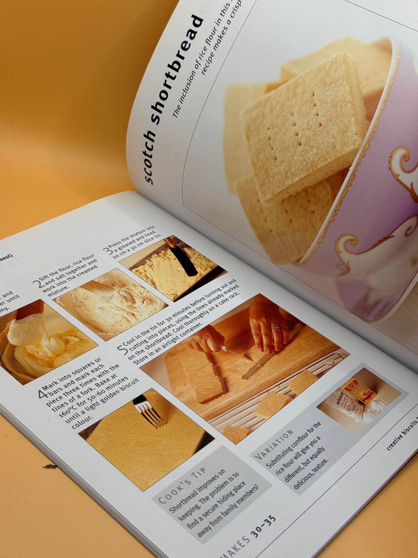 Creative Biscuits & Slices by Allyson Gofton