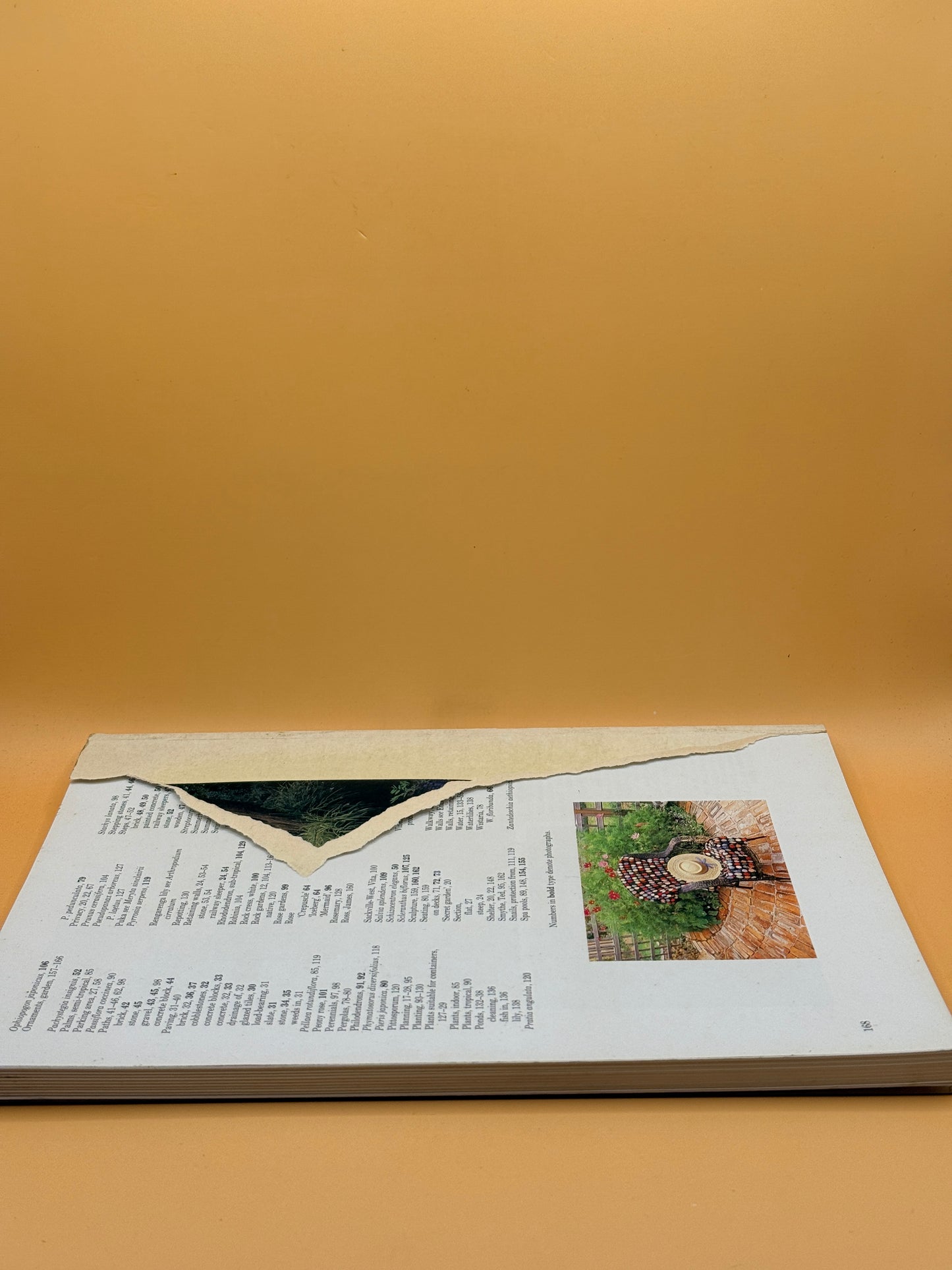New Zealand City Gardens by Susan Firth and Gil Hanly